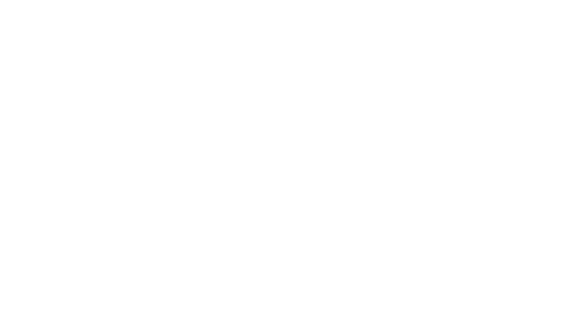 No alternative text