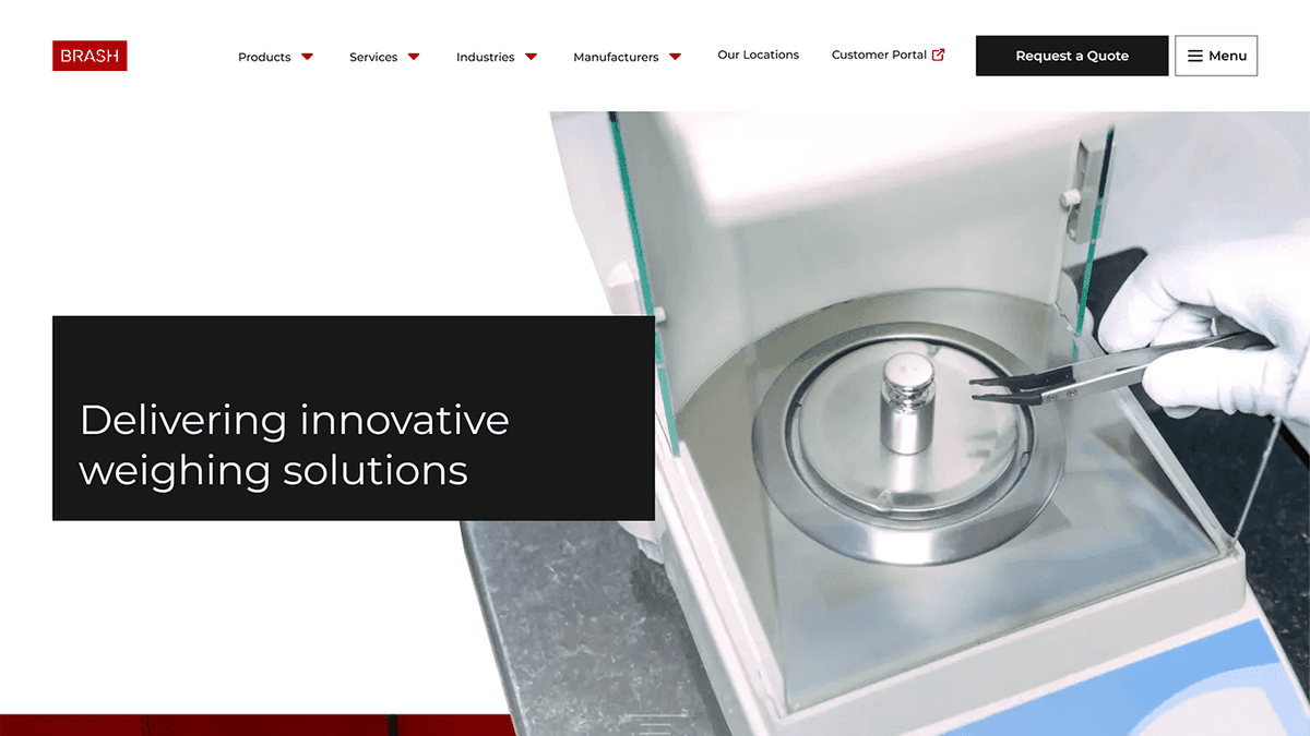 Brash Scales - Louise Goodwin Freelance Web Designer